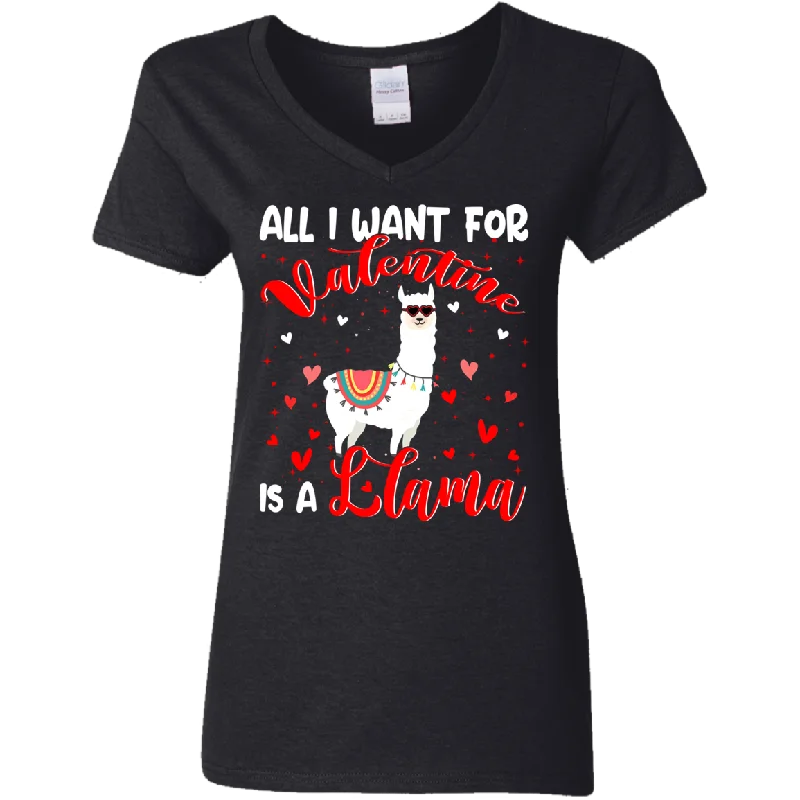 All I Want For Valentine Is A Llama Ladies V-Neck T-Shirt Striped Floral Plaid